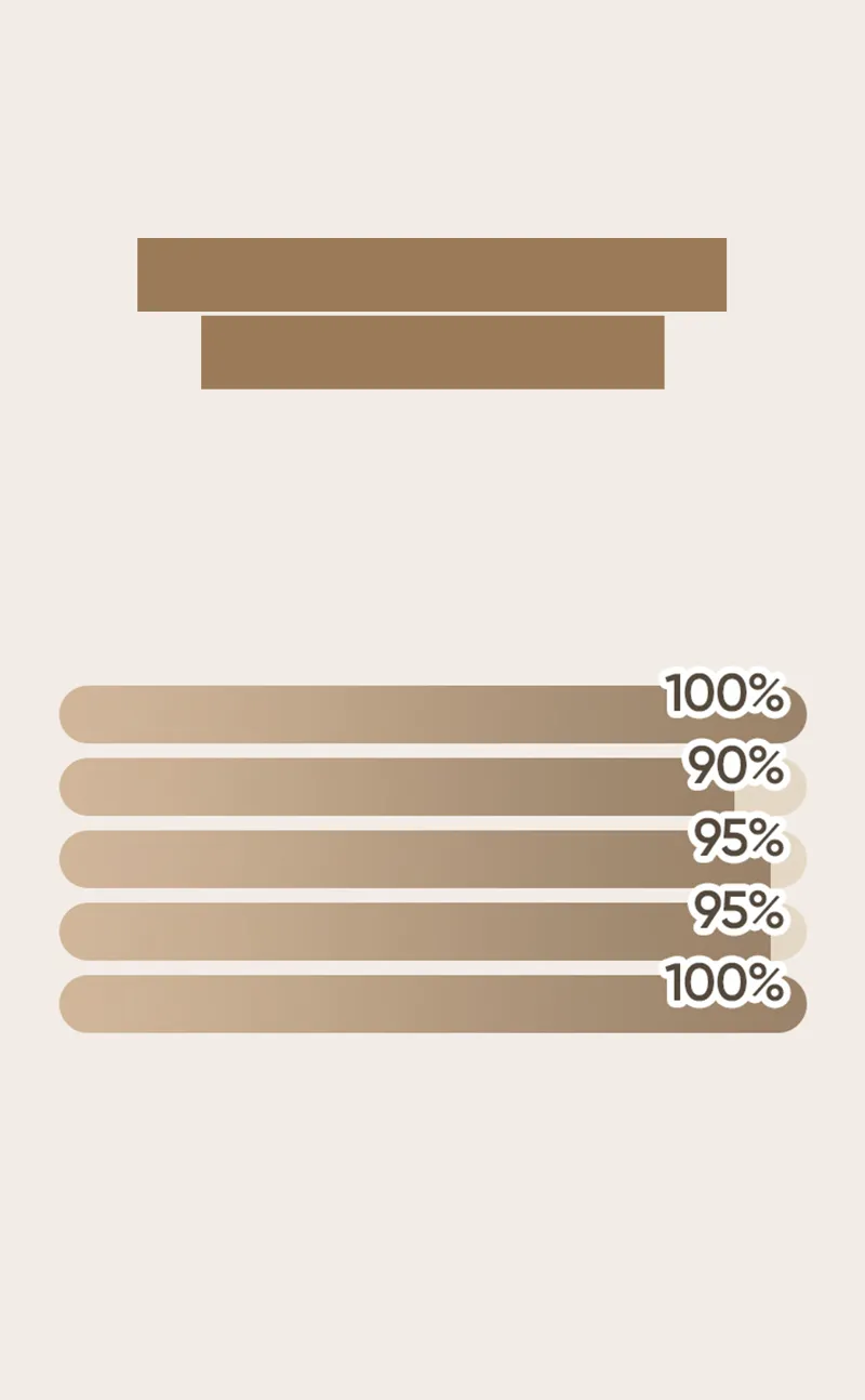 BANILA CO Prime Primer Finish Powder (Single / Brush Set)