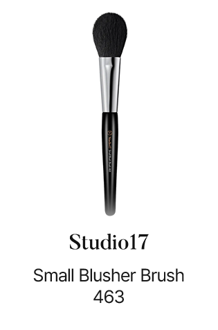 Small Blusher Brush 463