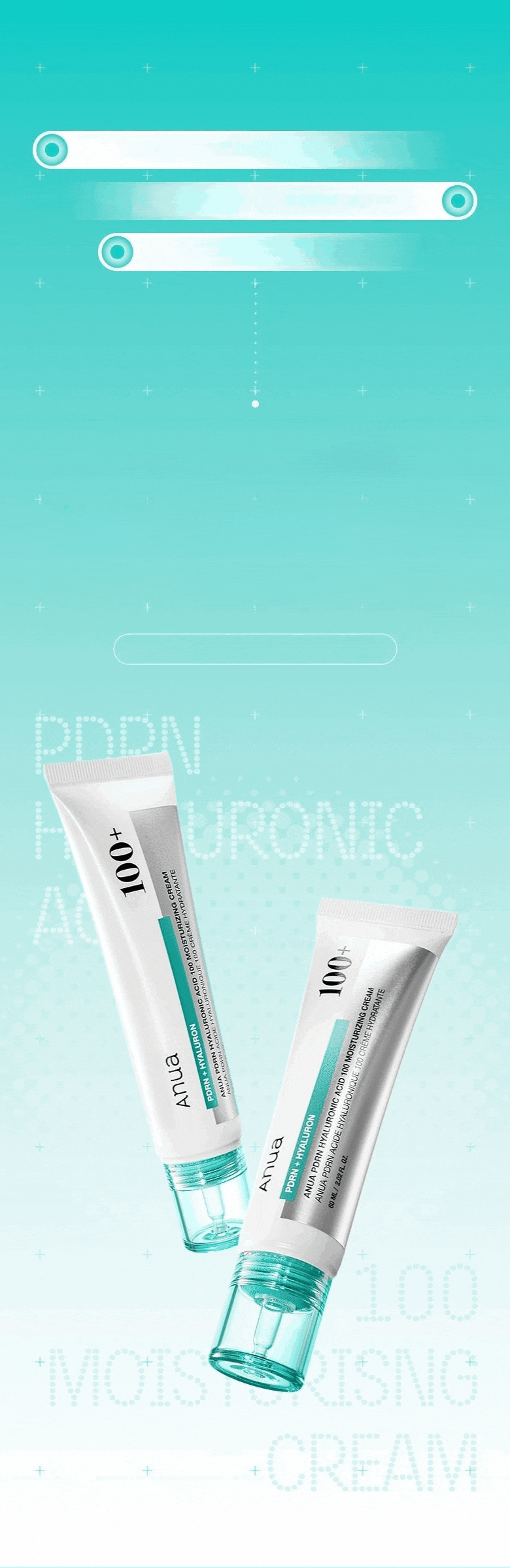 Anua PDRN Hyaluronic Acid 100 Moisturizing Cream 60ml Set (+30ml