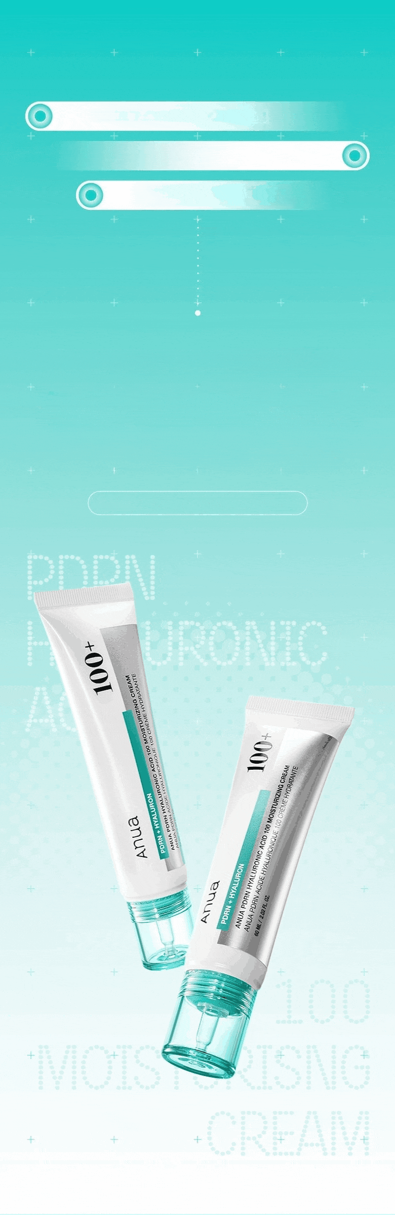 Anua PDRN Hyaluronic Acid 100 Moisturizing Cream 60ml
