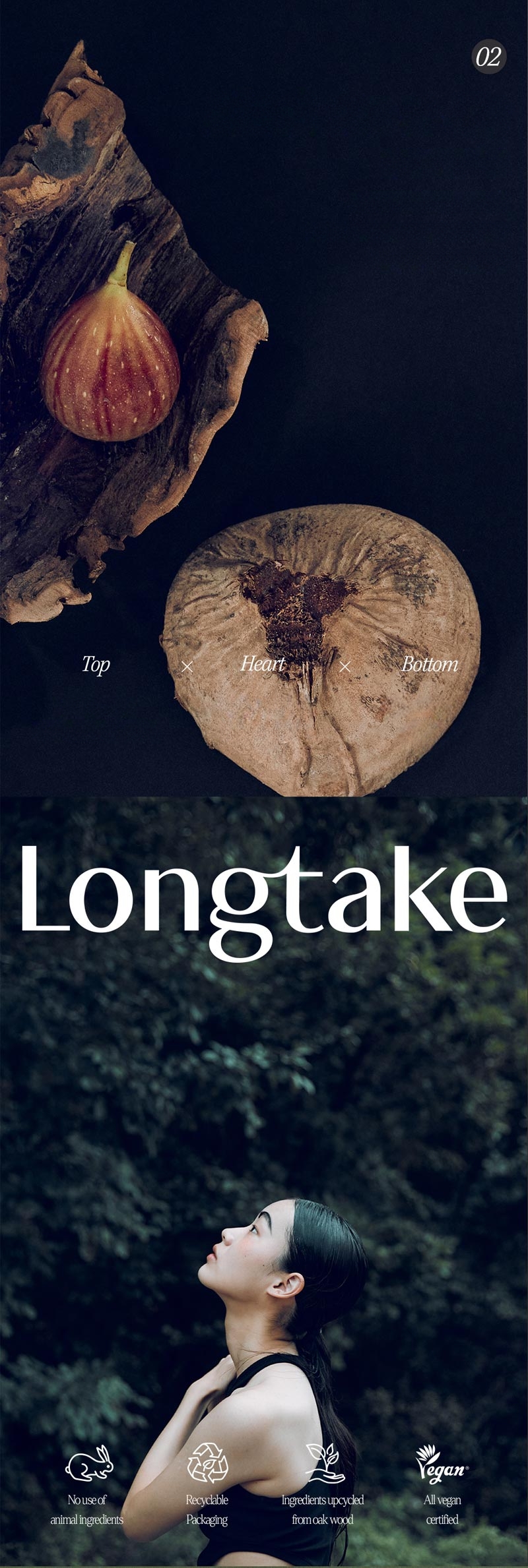 Longtake Hand Cream 50mL (Sandalwood/Black Tea & Fig) | OLIVE