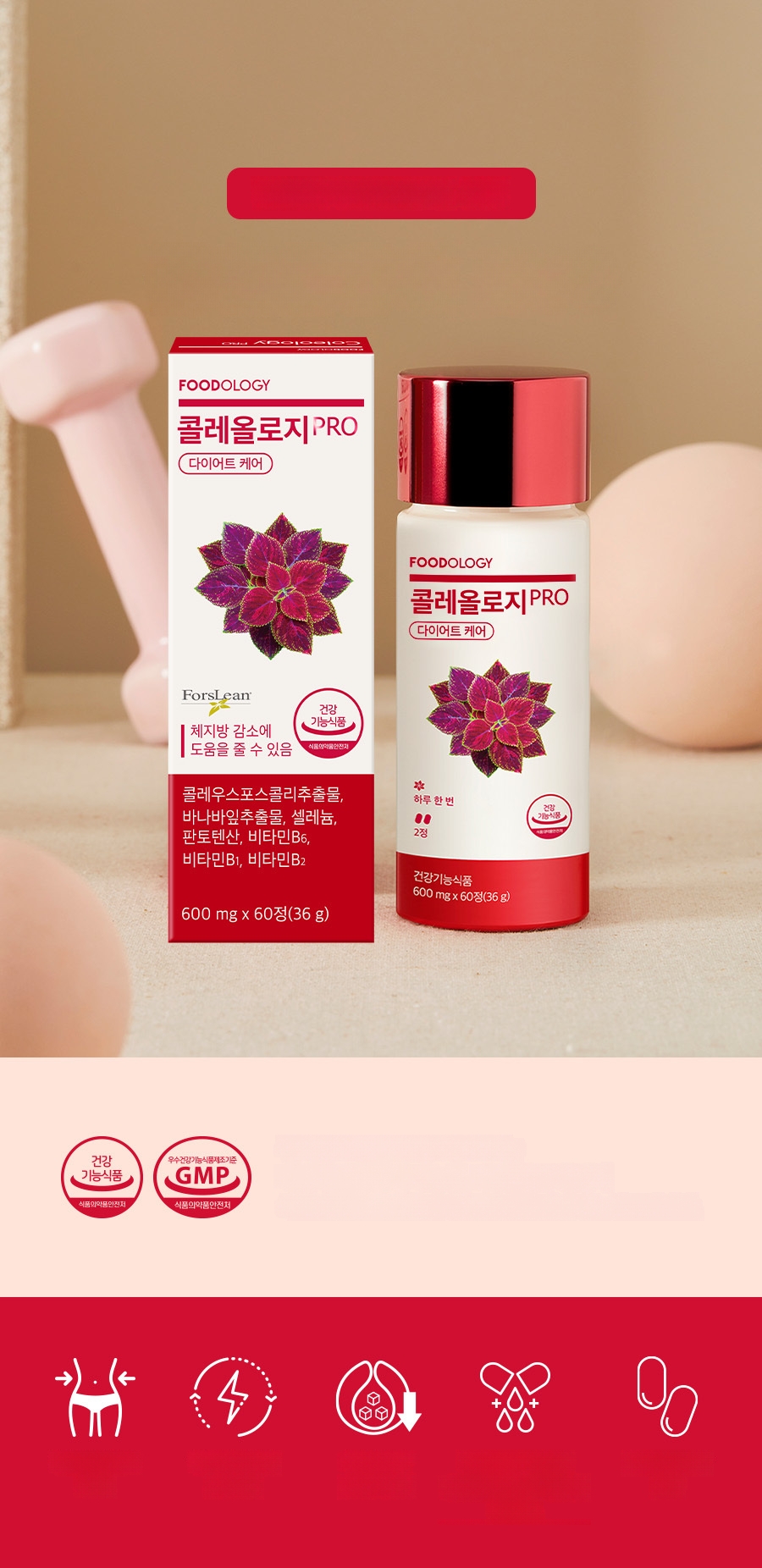 FOODOLOGY コレオロジー PRO 600mg*60錠(1ヶ月分) | OLIVE YOUNG Global