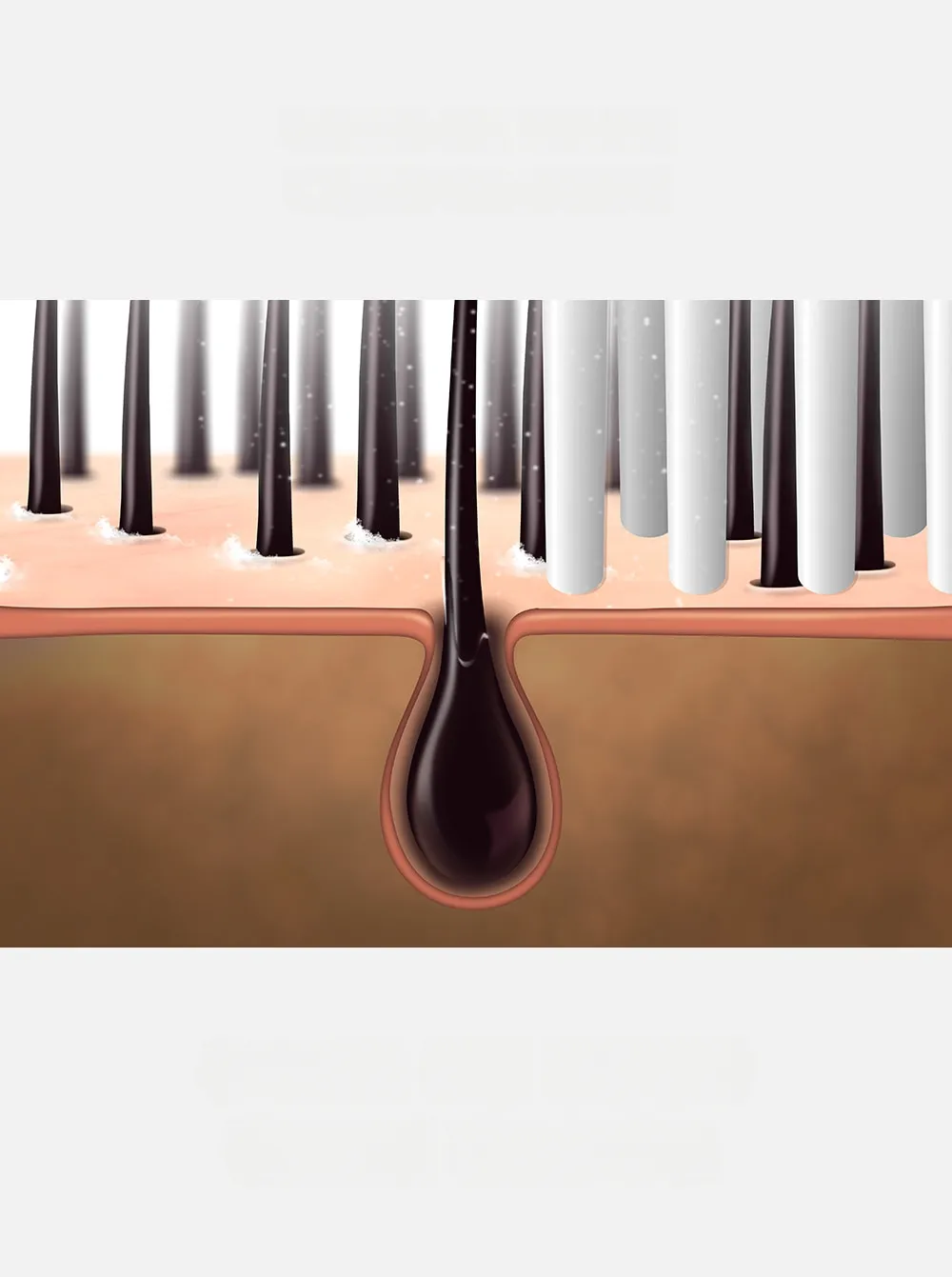 lilyeve Grow Turn Exosome Brush Ampoule Set (130ml/100ml)