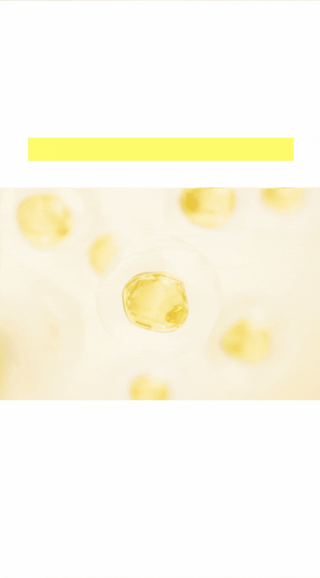 Neogen Dermalogy Lemon Bright PHA Gauze Peeling 30 Sheets | OLIVE