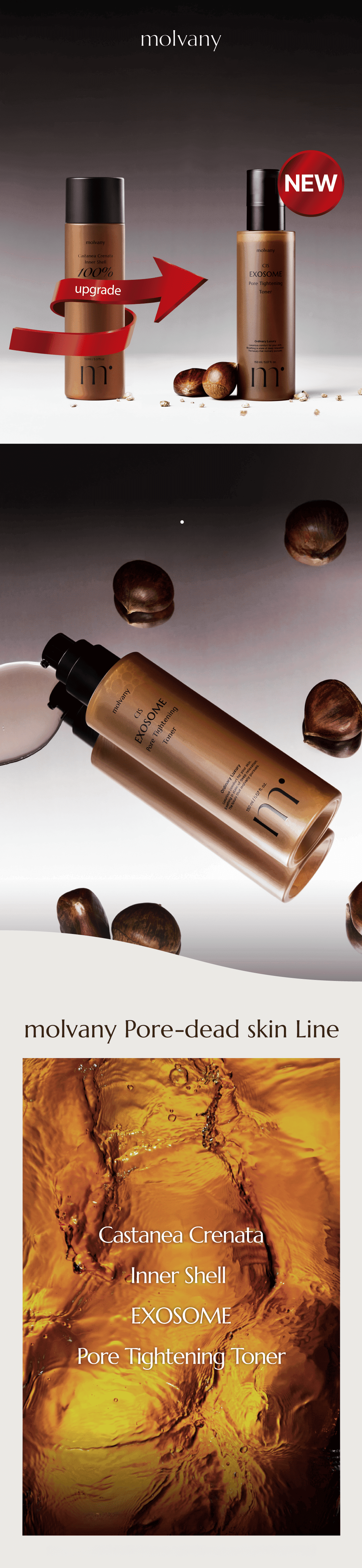 MOLVANY 栗渋皮エクソソームポアタイトニングトナー 150ml | OLIVE