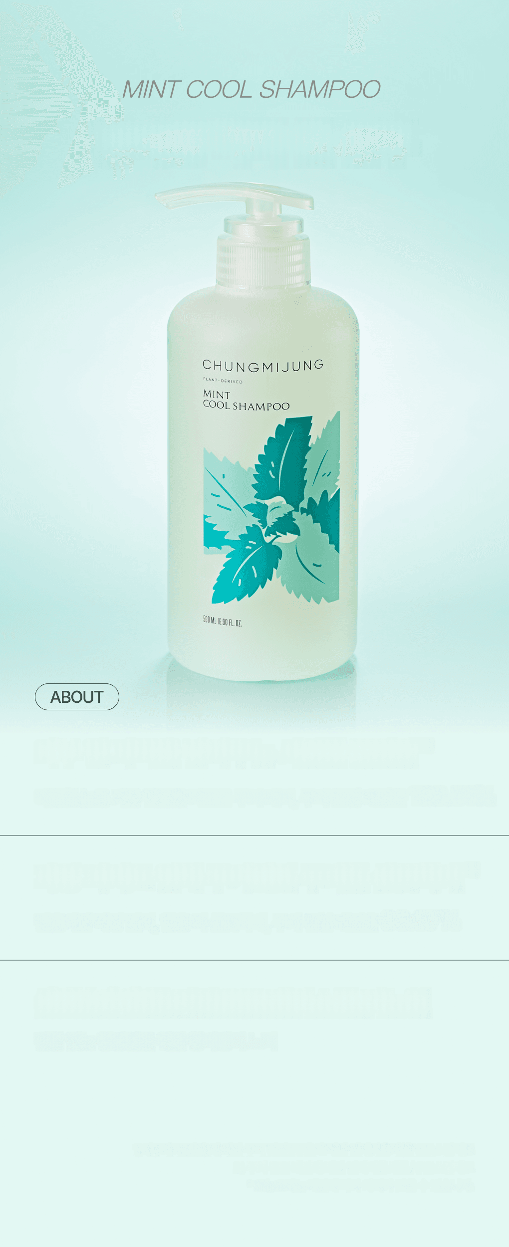 CHUNGMIJUNG ミントクールシャンプー500ml | OLIVE YOUNG Global