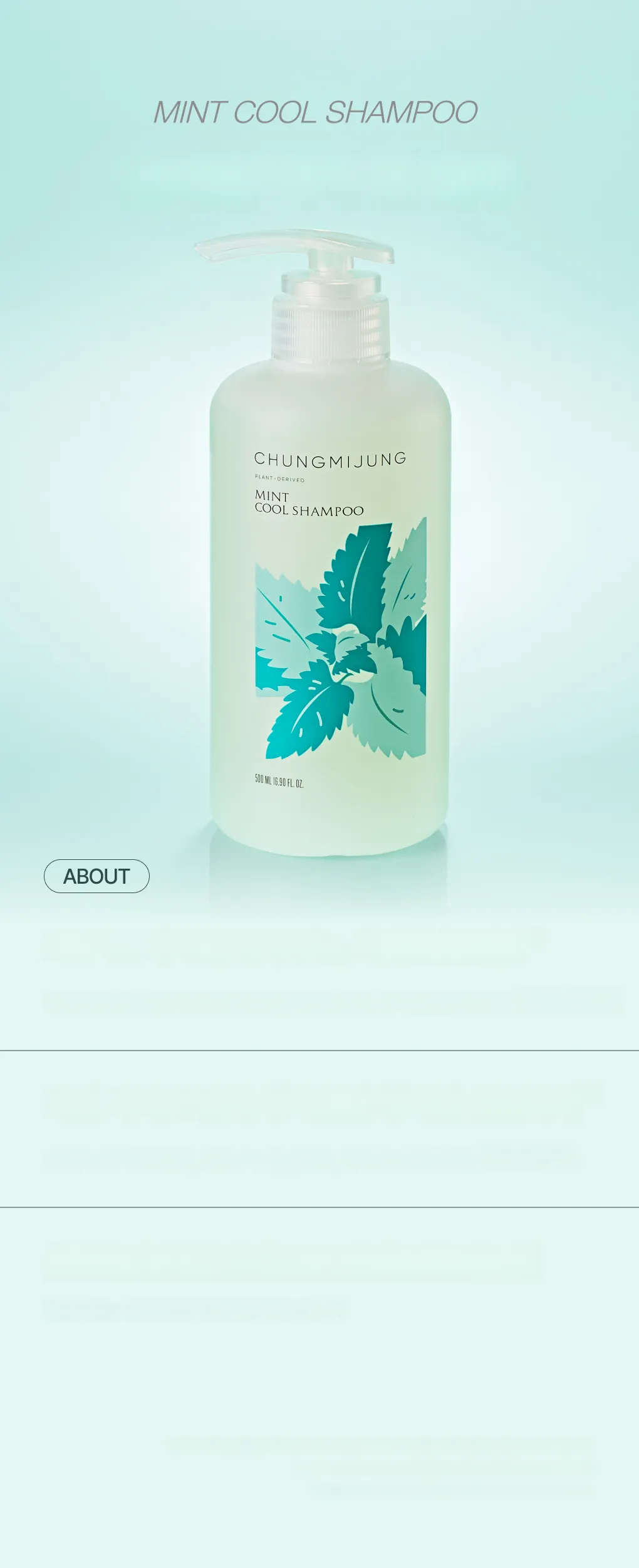 CHUNGMIJUNG ミントクールシャンプー500ml | OLIVE YOUNG Global