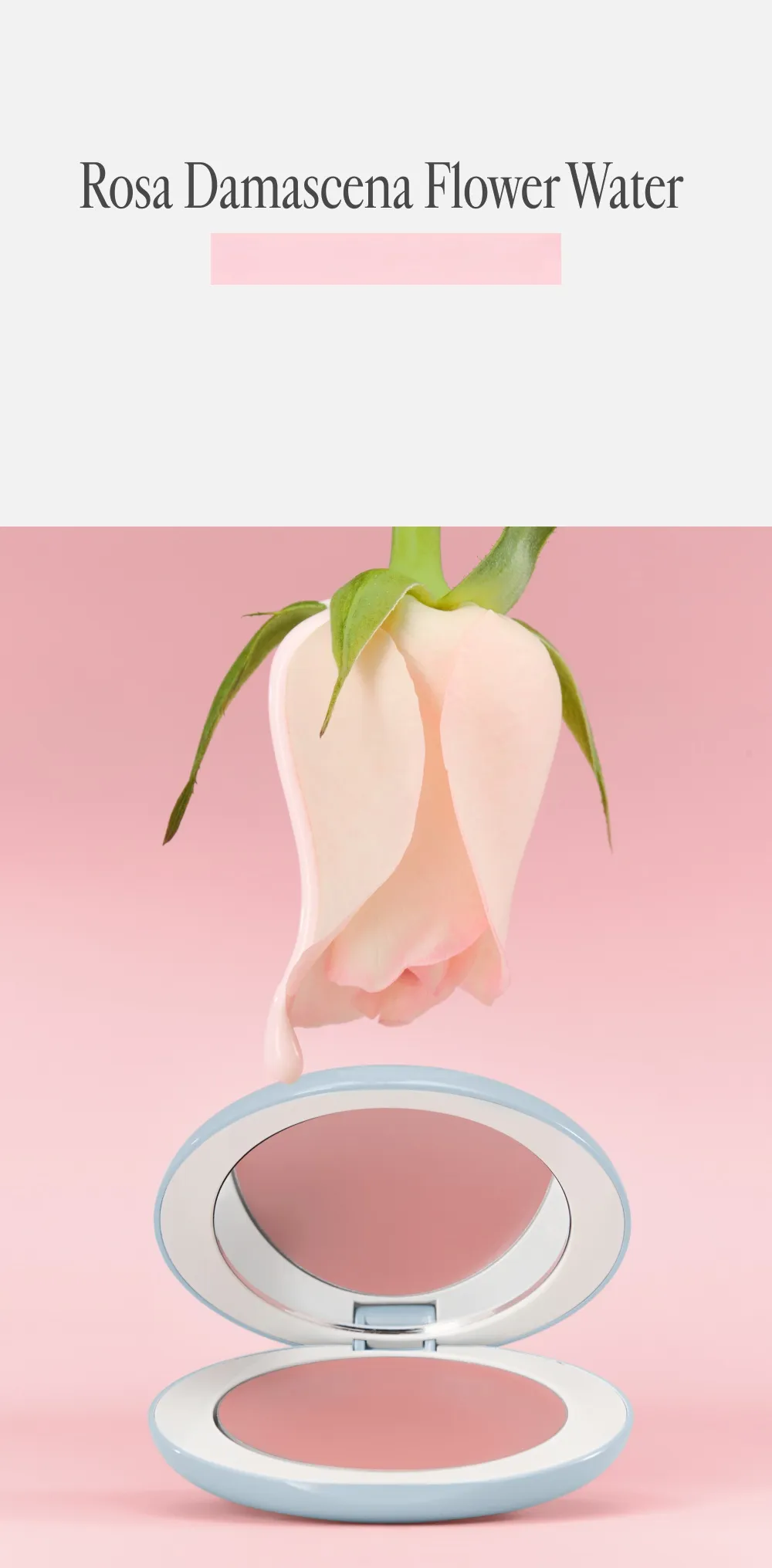 [Sanrio EDITION] freshian Egg-like Cream Blush (Set/Single) (16 Colors)