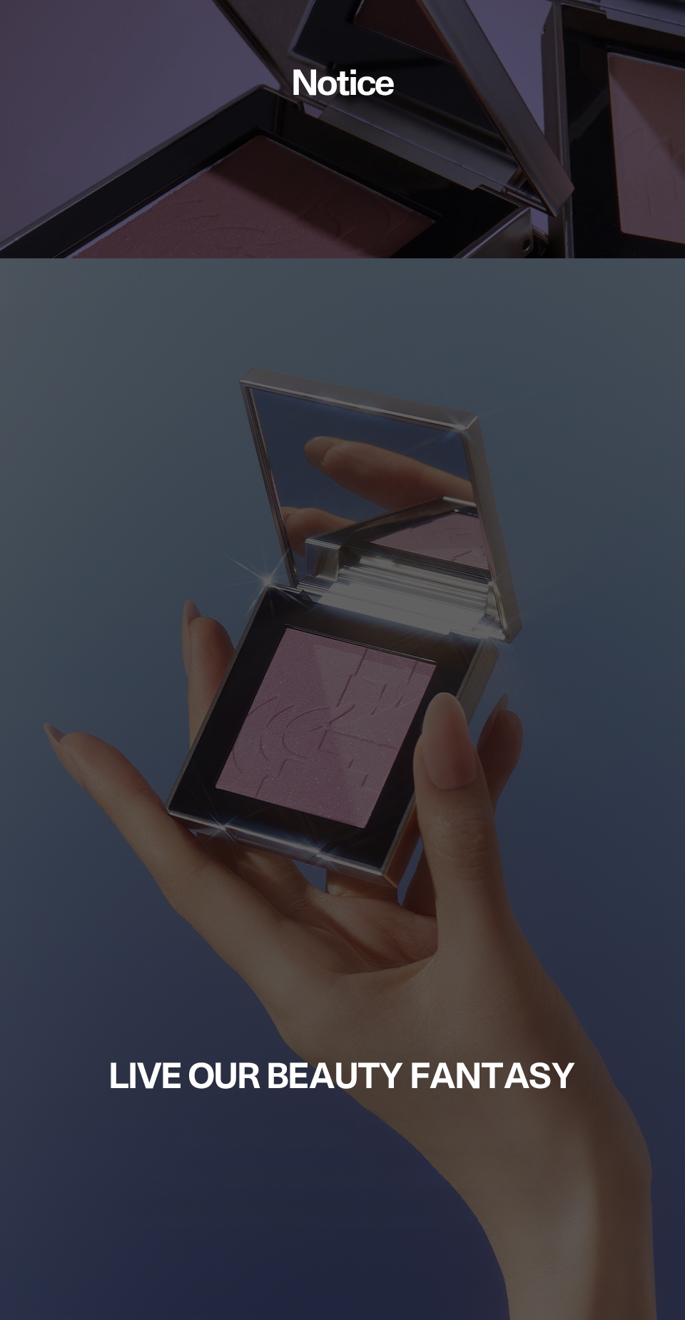 TWO SLASH FOUR All Over Face Blush (Set/Single) (12 Options)